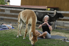 BODYART® meets Alpaka 2025